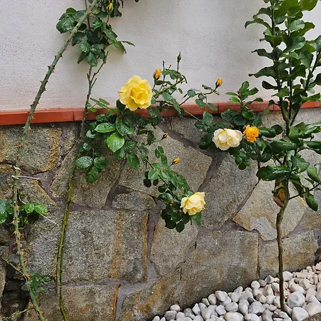 Dolci Momenti Gasthof 4*