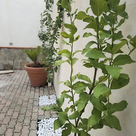 Gasthof Dolci Momenti